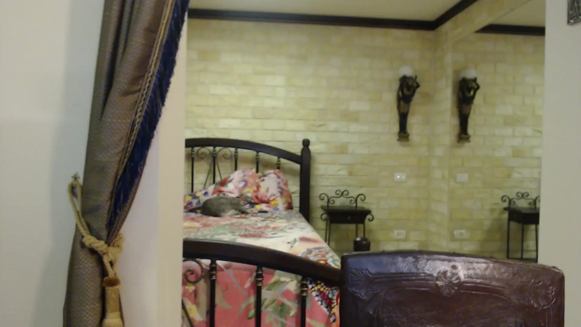 Gallery image thumbnail from ThePerfectNam's myfreecams stream on, 11/26/2025, 01:04 image 2 of 20