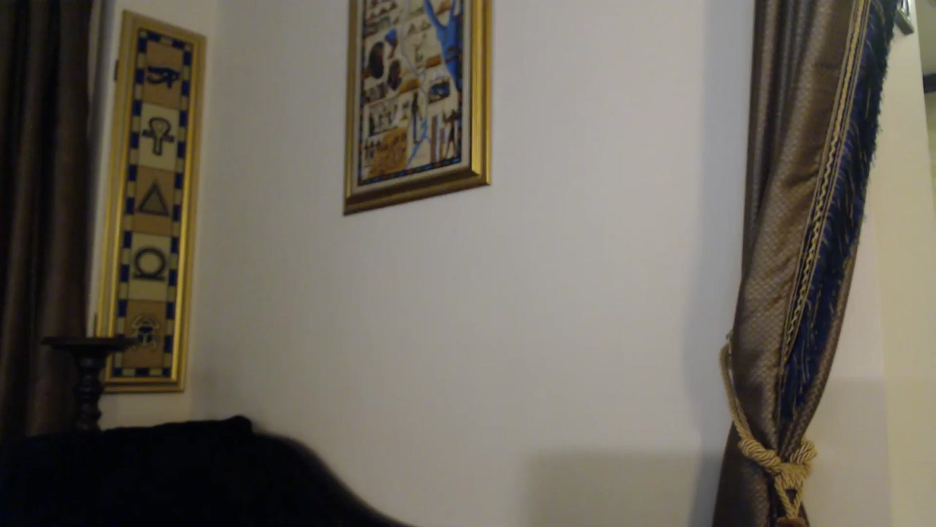 Gallery image thumbnail from ThePerfectNam's myfreecams stream on, 12/06/2025, 04:50 image 5 of 20