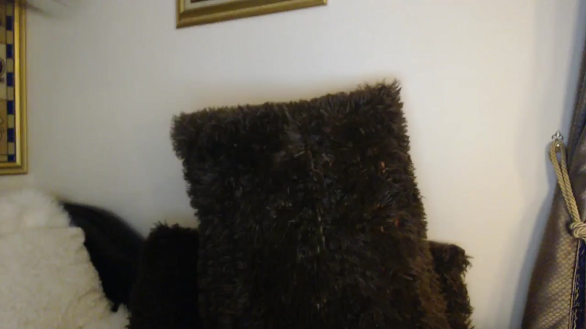 Gallery image thumbnail from ThePerfectNam's myfreecams stream on, 02/19/2026, 13:49 image 13 of 20