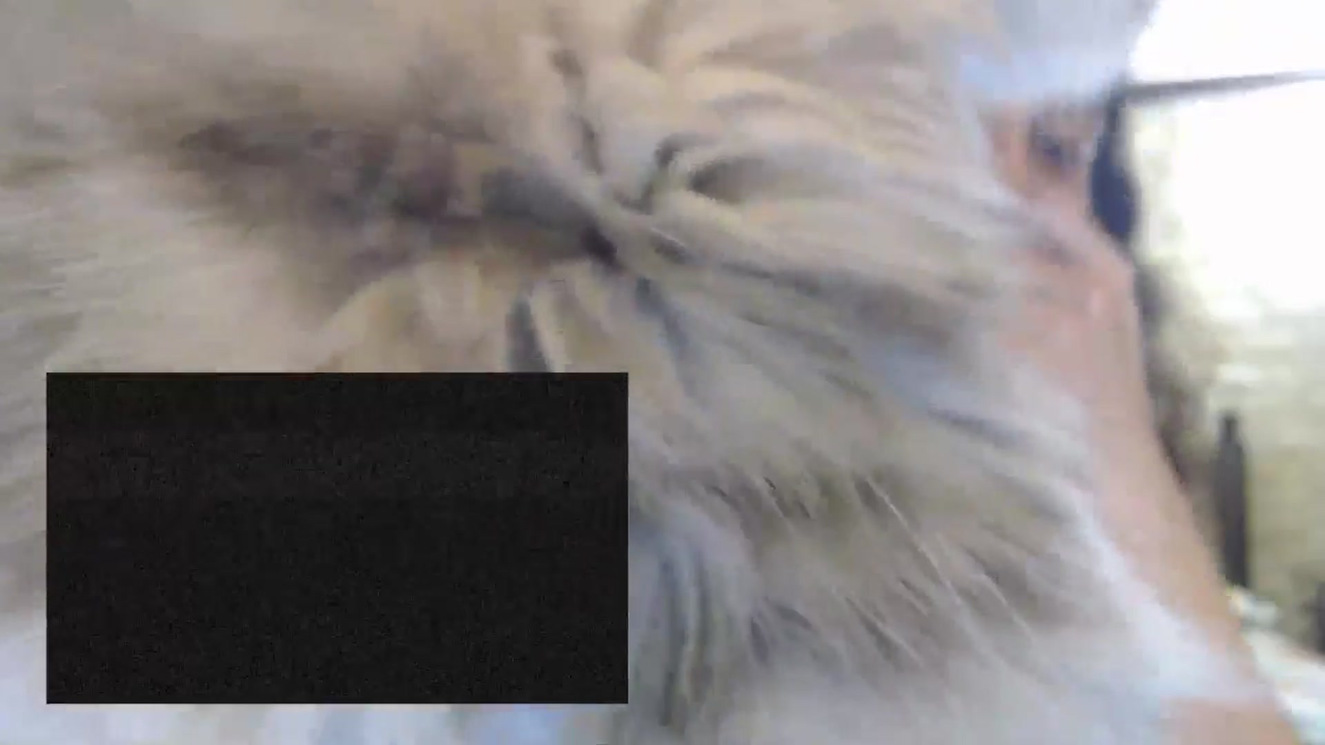 Gallery image thumbnail from ThePerfectNam's myfreecams stream on, 04/02/2026, 23:00 image 20 of 20