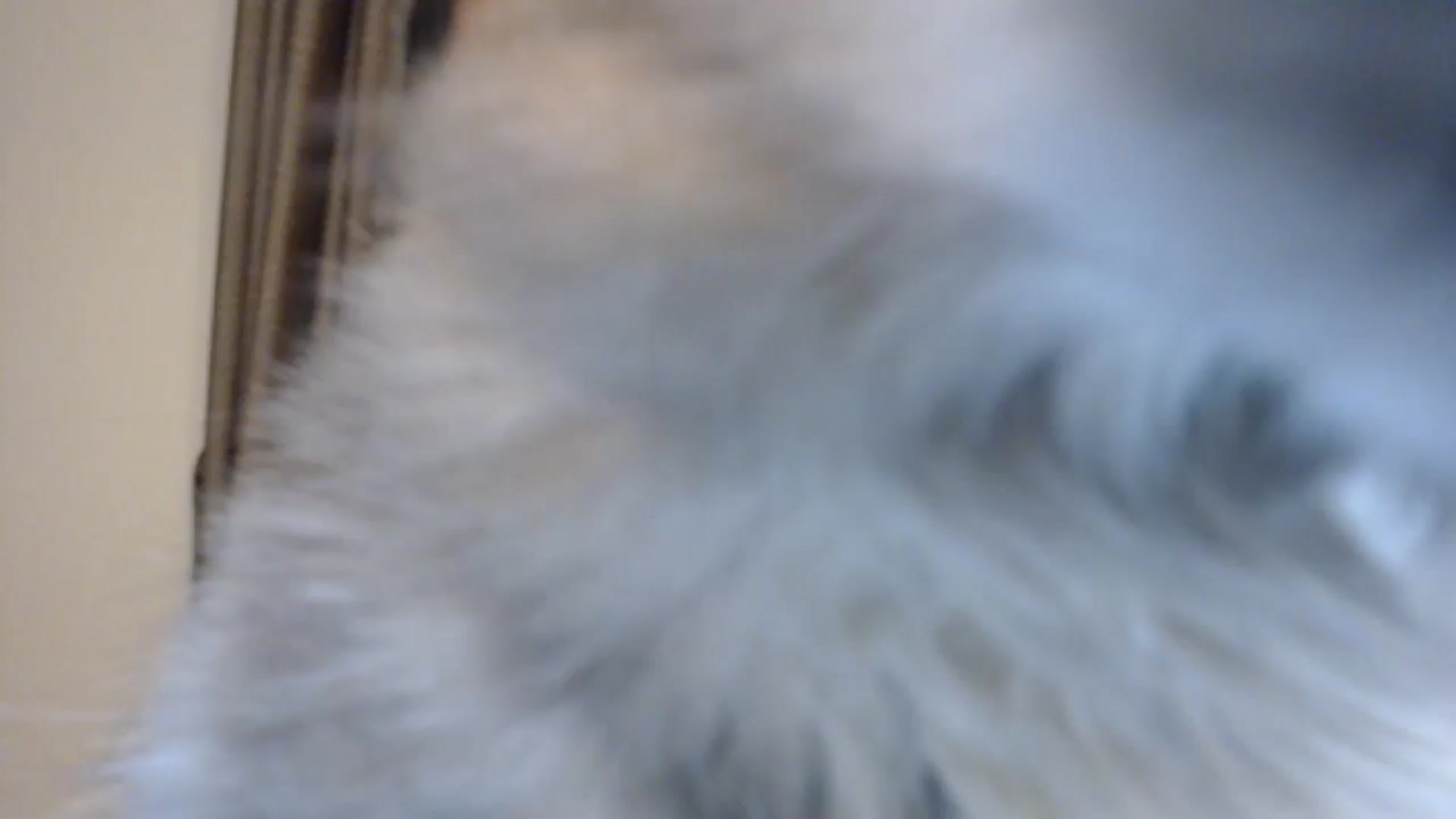 Gallery image thumbnail from ThePerfectNam's myfreecams stream on, 04/02/2026, 23:00 image 19 of 20