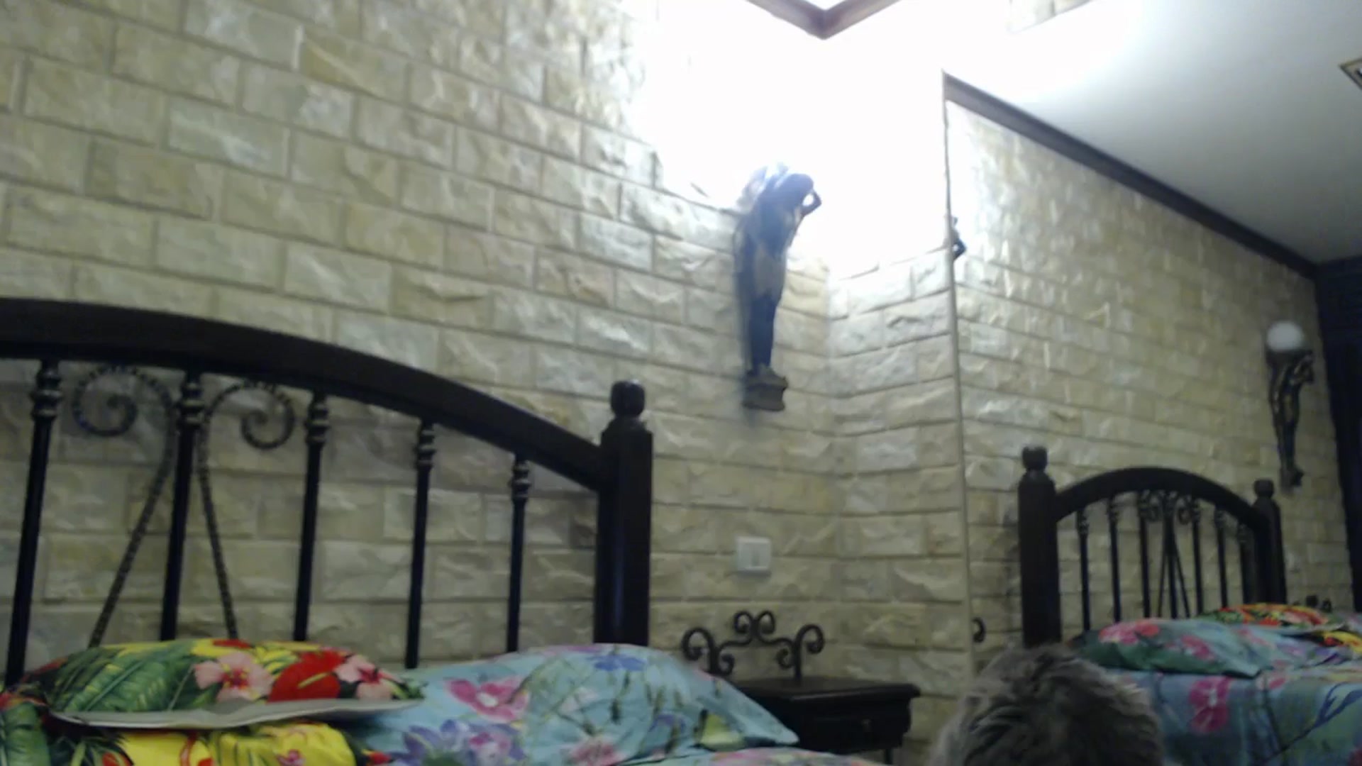 Gallery image thumbnail from ThePerfectNam's myfreecams stream on, 05/08/2026, 03:23 image 5 of 20