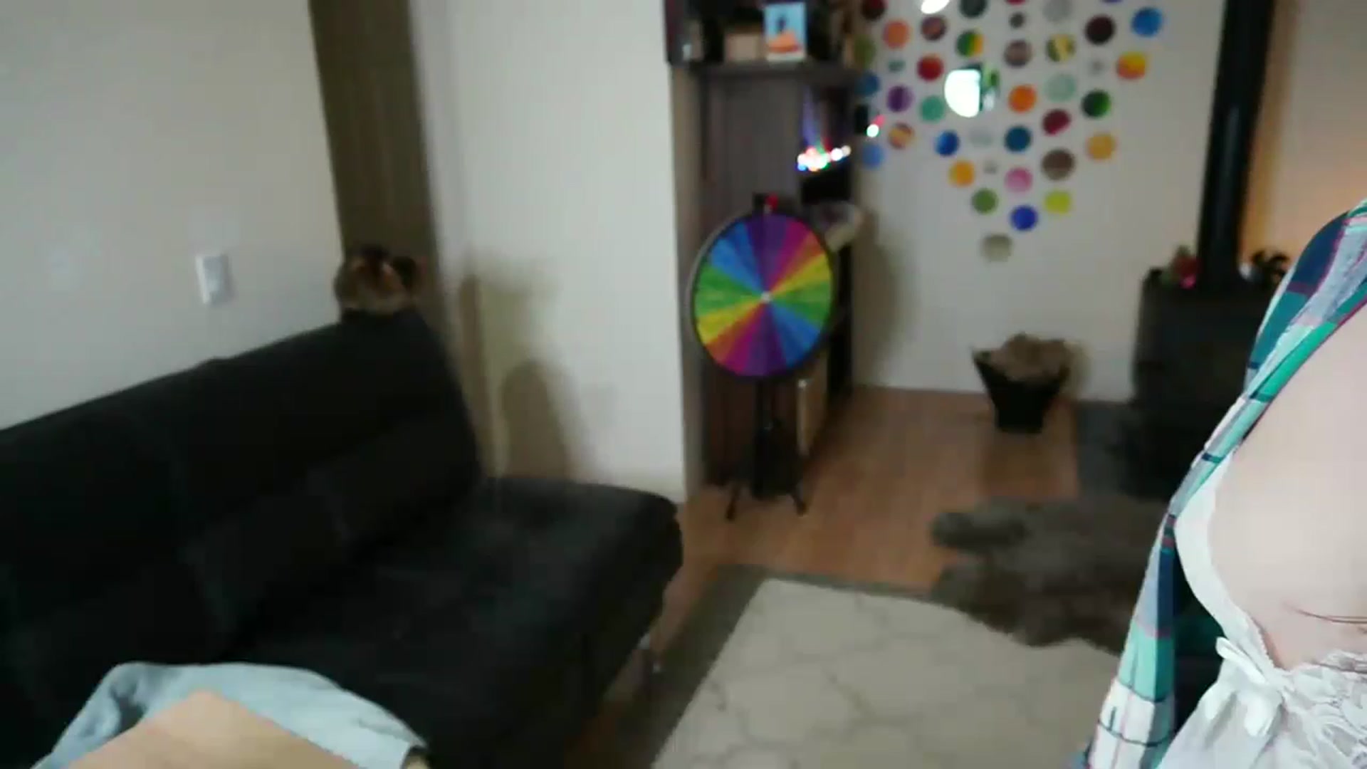 Gallery image thumbnail from TheRoxRoom's myfreecams stream on, 12/10/2022, 04:34 image 7 of 20