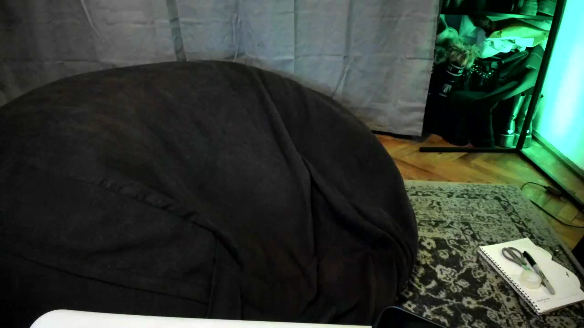 Gallery image thumbnail from TheScrewer's myfreecams stream on, 03/02/2024, 23:04 image 10 of 20