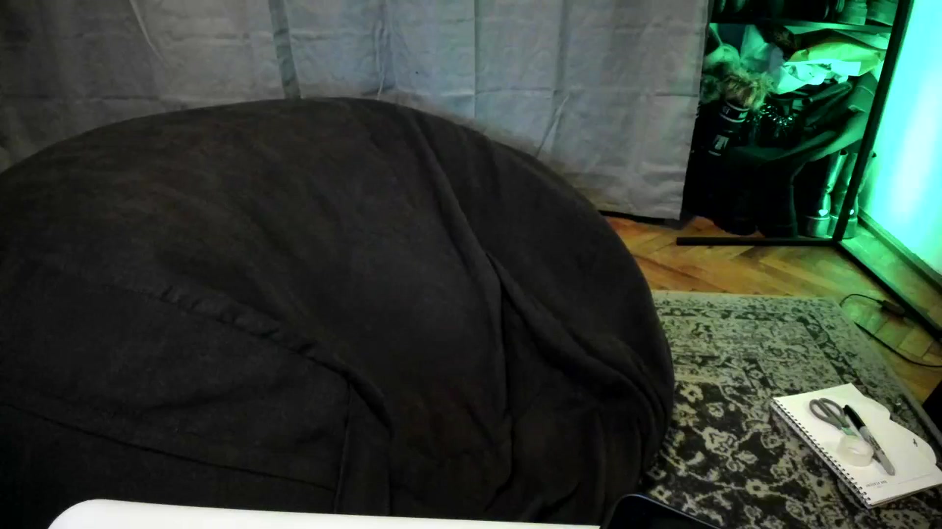 Gallery image thumbnail from TheScrewer's myfreecams stream on, 03/02/2024, 23:04 image 9 of 20