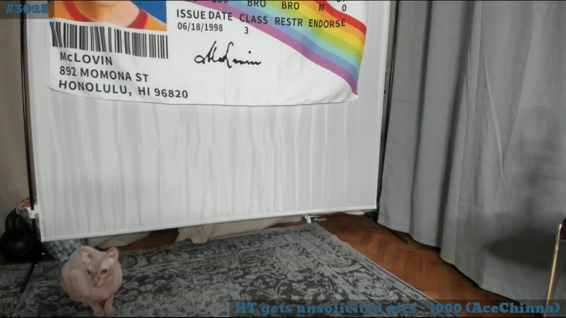 Gallery image thumbnail from TheScrewer's myfreecams stream on, 02/11/2025, 24:34 image 18 of 20