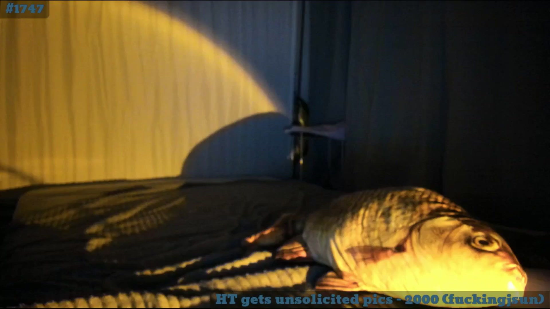 Gallery image thumbnail from TheScrewer's myfreecams stream on, 03/11/2025, 24:01 image 5 of 20
