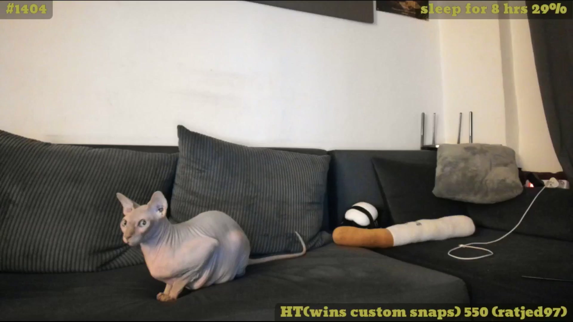 Gallery image thumbnail from TheScrewer's myfreecams stream on, 06/15/2025, 24:32 image 1 of 20