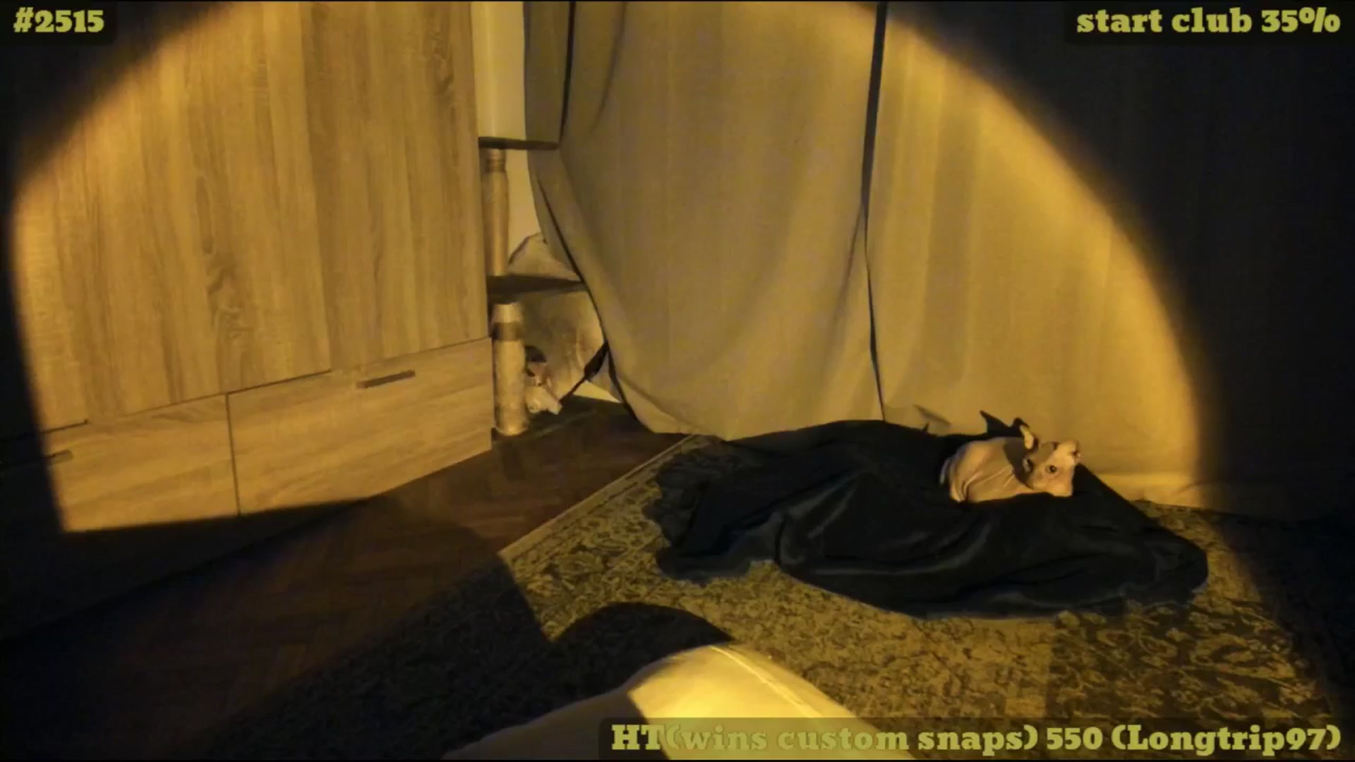 Gallery image thumbnail from TheScrewer's myfreecams stream on, 07/22/2025, 23:12 image 15 of 20