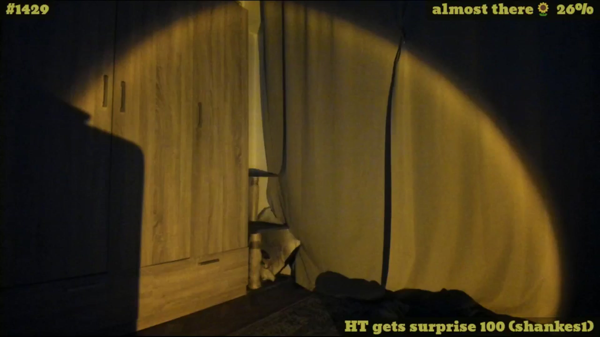 Gallery image thumbnail from TheScrewer's myfreecams stream on, 08/30/2025, 24:01 image 7 of 20