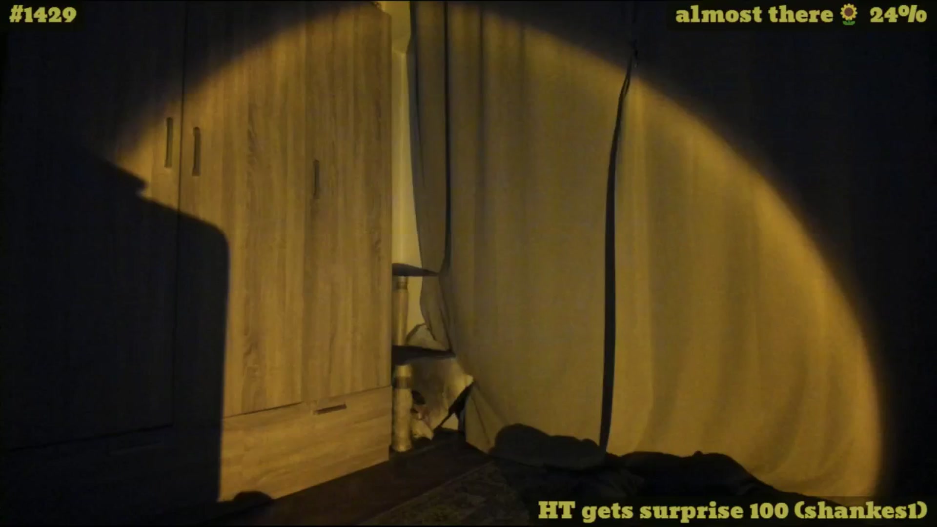 Gallery image thumbnail from TheScrewer's myfreecams stream on, 08/30/2025, 24:01 image 4 of 20