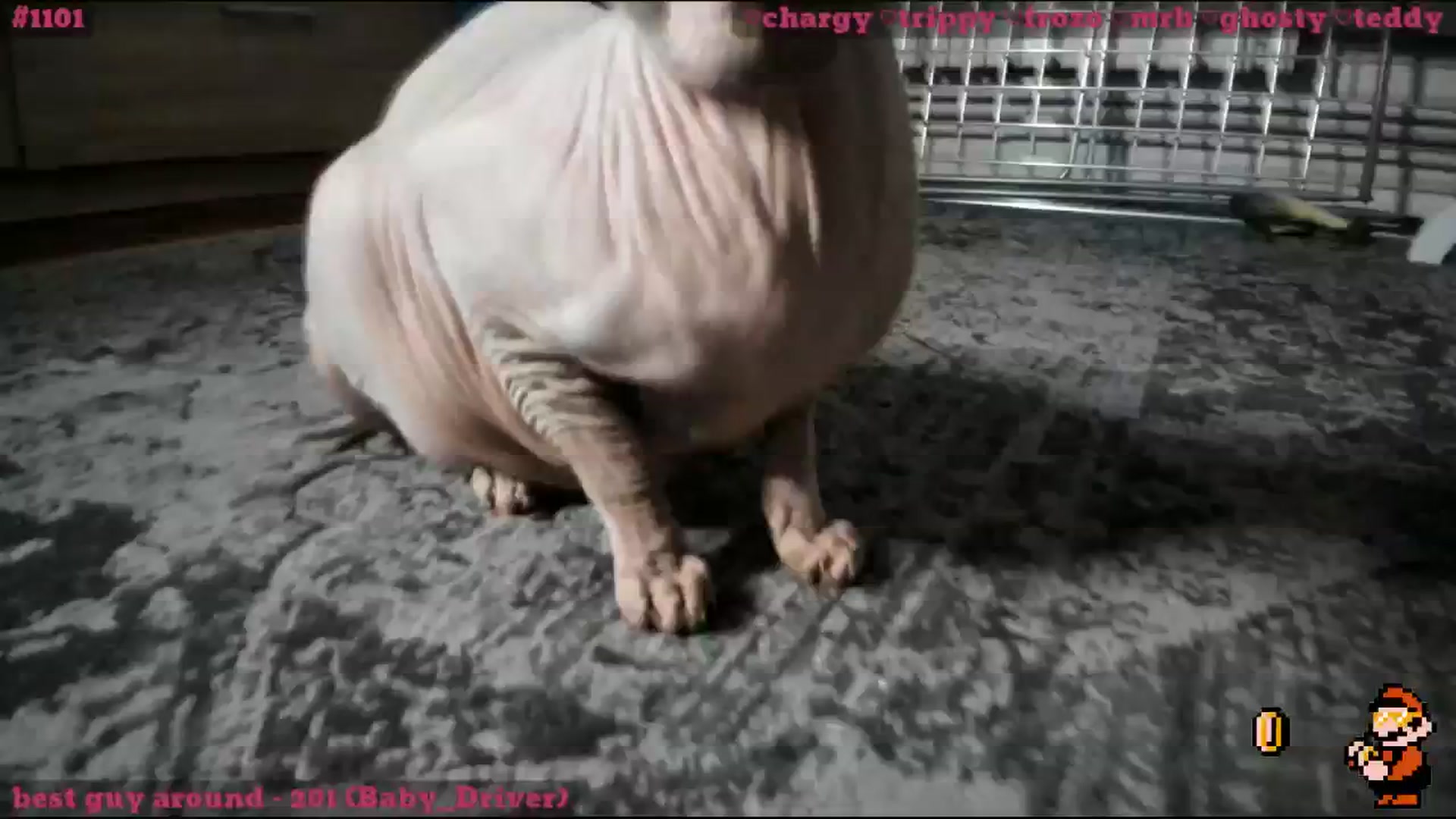 Gallery image thumbnail from TheScrewer's myfreecams stream on, 02/27/2026, 02:33 image 8 of 20