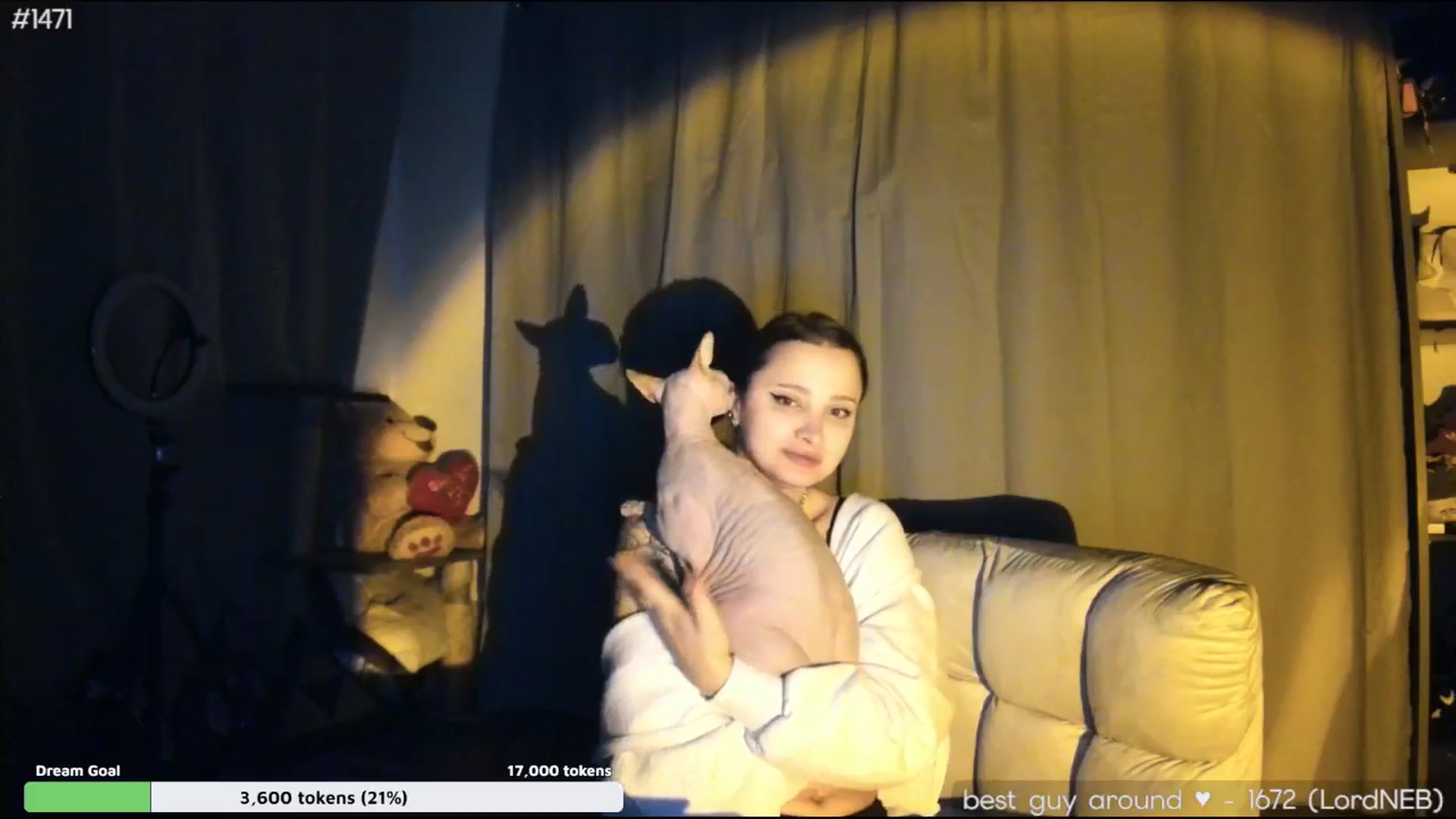 Gallery image thumbnail from TheScrewer's myfreecams stream on, 04/28/2026, 02:12 image 8 of 20