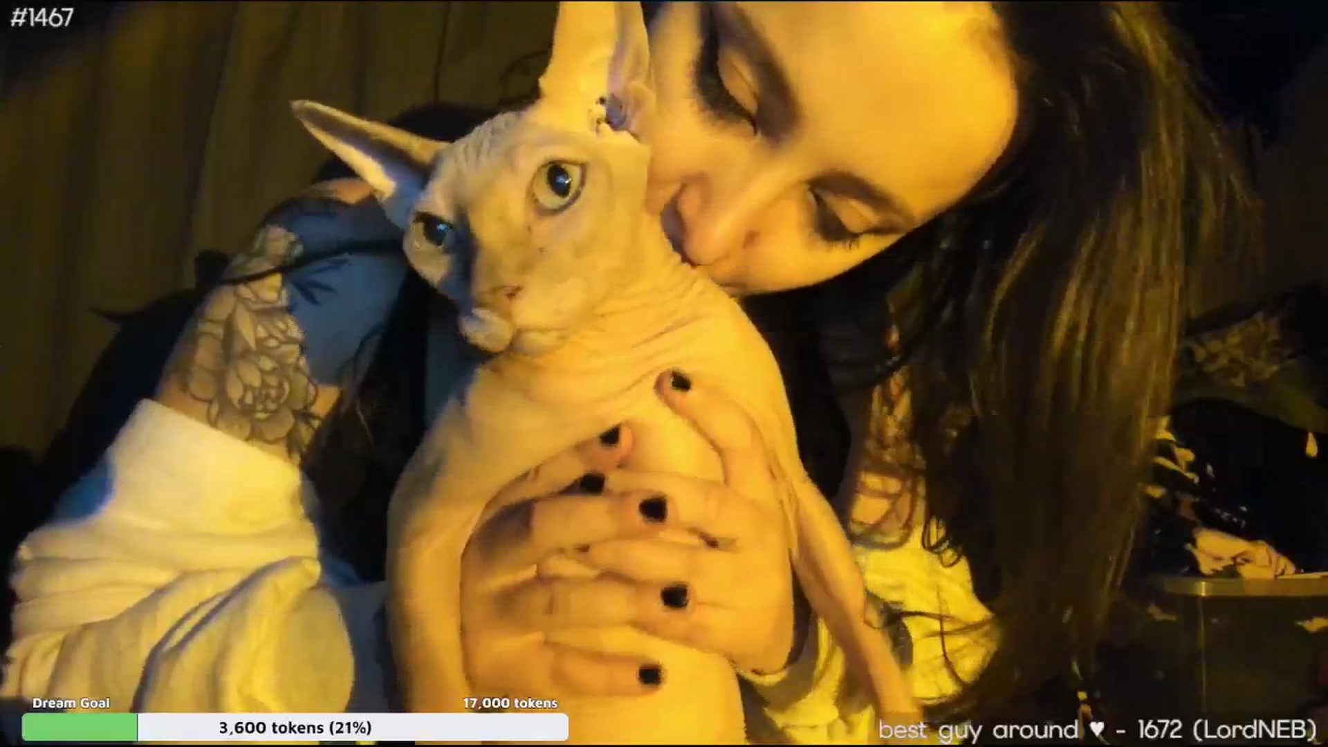 Gallery image thumbnail from TheScrewer's myfreecams stream on, 04/28/2026, 02:12 image 9 of 20
