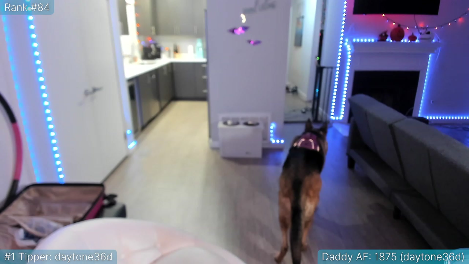 Gallery image thumbnail from TheSharkQueen's myfreecams stream on, 11/23/2022, 05:38 image 13 of 20