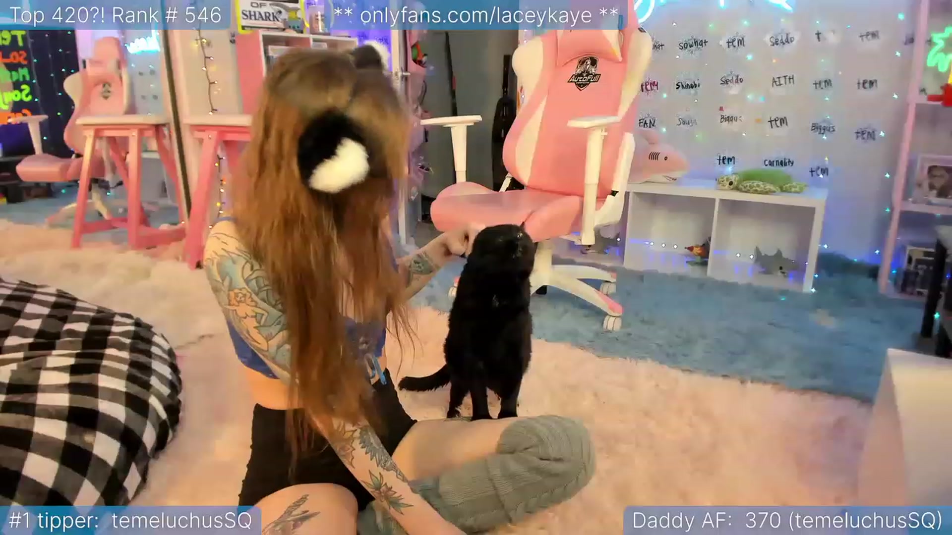 Gallery image thumbnail from TheSharkQueen's myfreecams stream on, 02/01/2023, 03:36 image 17 of 20
