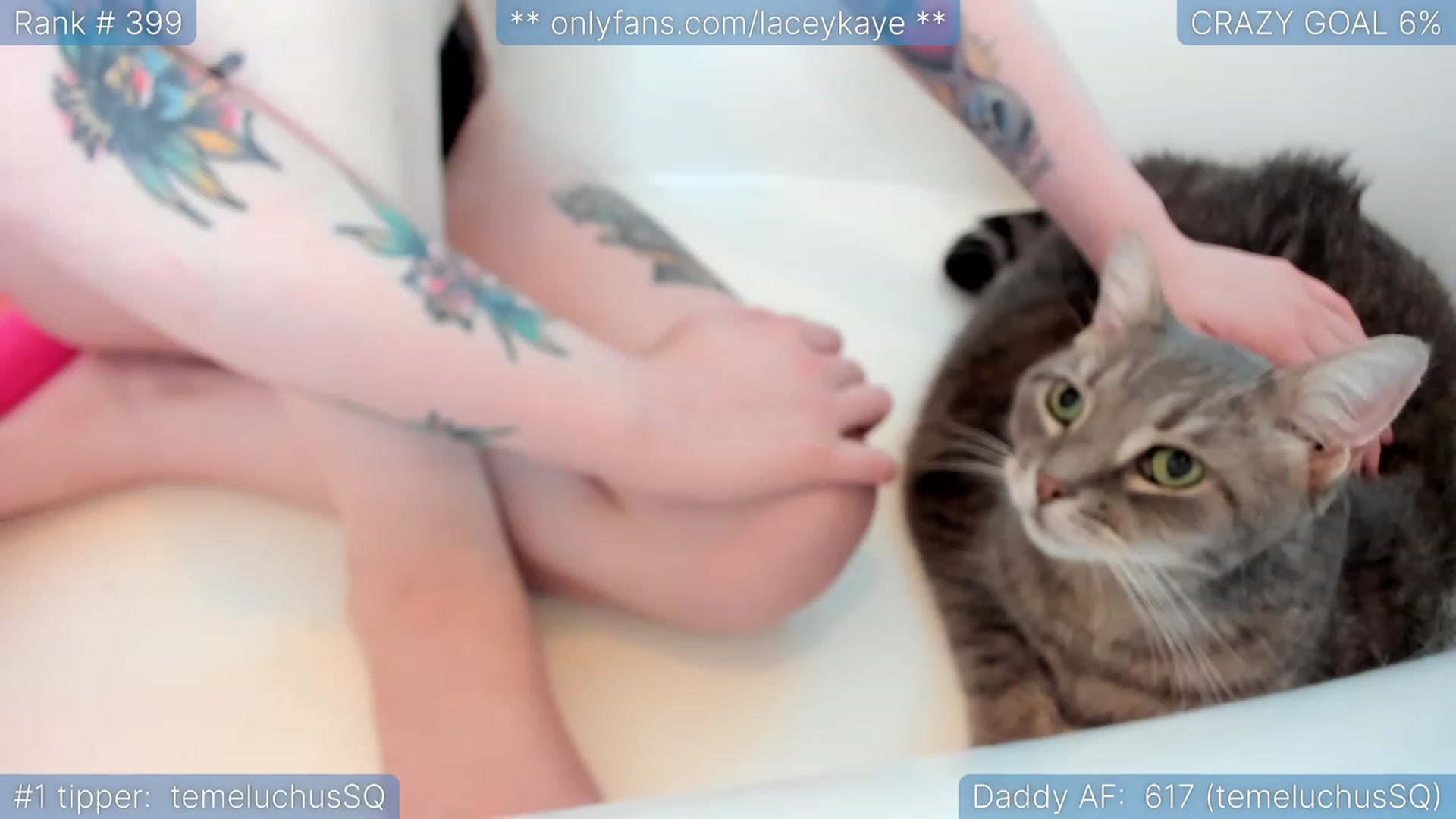 Gallery image thumbnail from TheSharkQueen's myfreecams stream on, 03/15/2023, 06:31 image 18 of 20