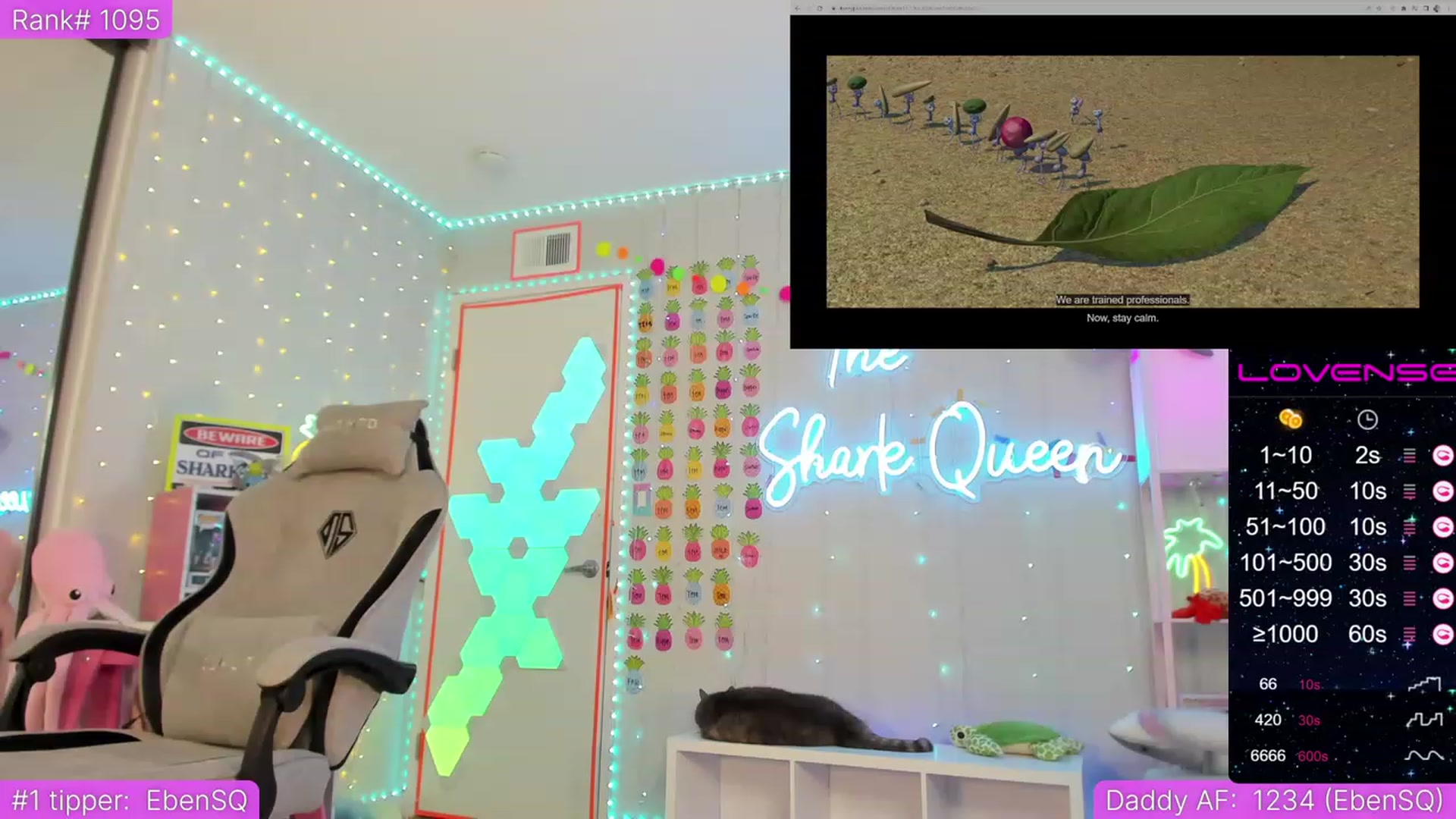 Gallery image thumbnail from TheSharkQueen's myfreecams stream on, 05/12/2023, 06:47 image 5 of 20