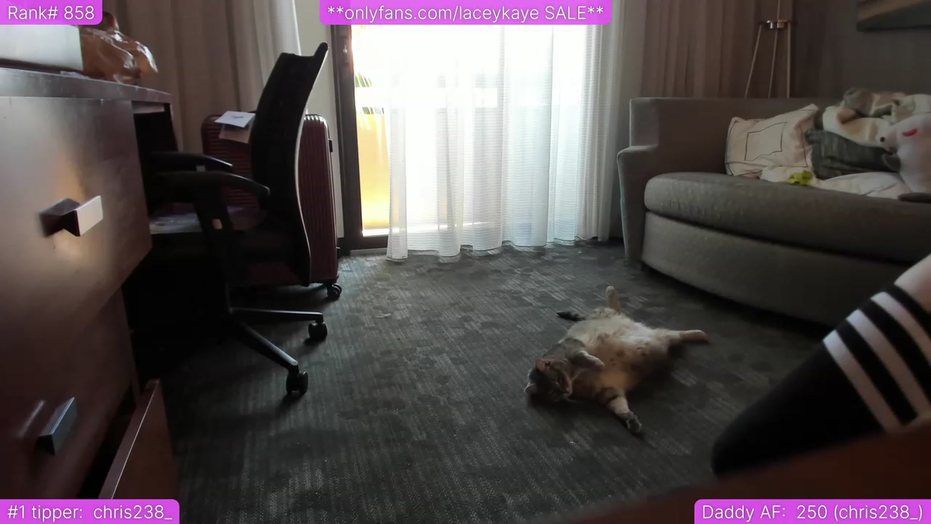 Gallery image thumbnail from TheSharkQueen's myfreecams stream on, 07/01/2023, 22:28 image 19 of 20