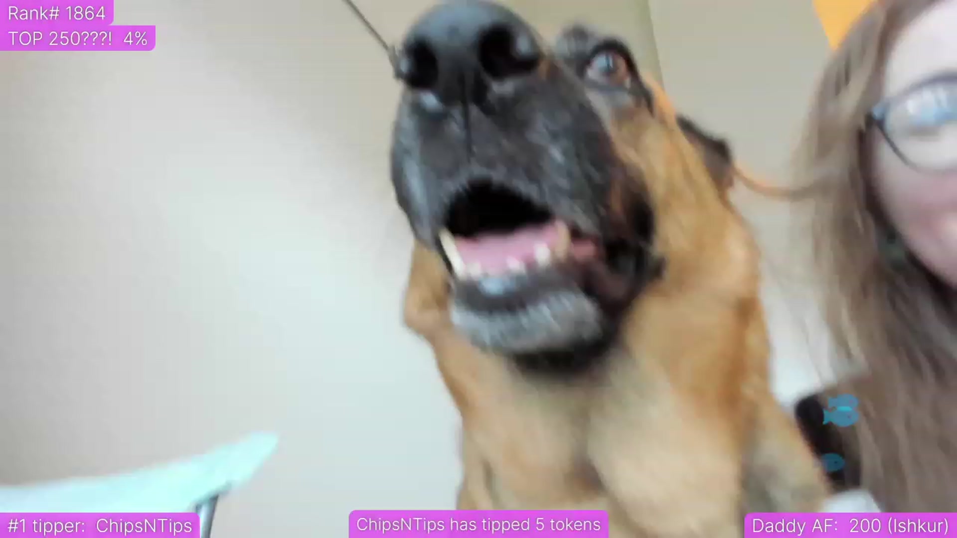 Gallery image thumbnail from TheSharkQueen's myfreecams stream on, 07/07/2023, 01:24 image 17 of 20