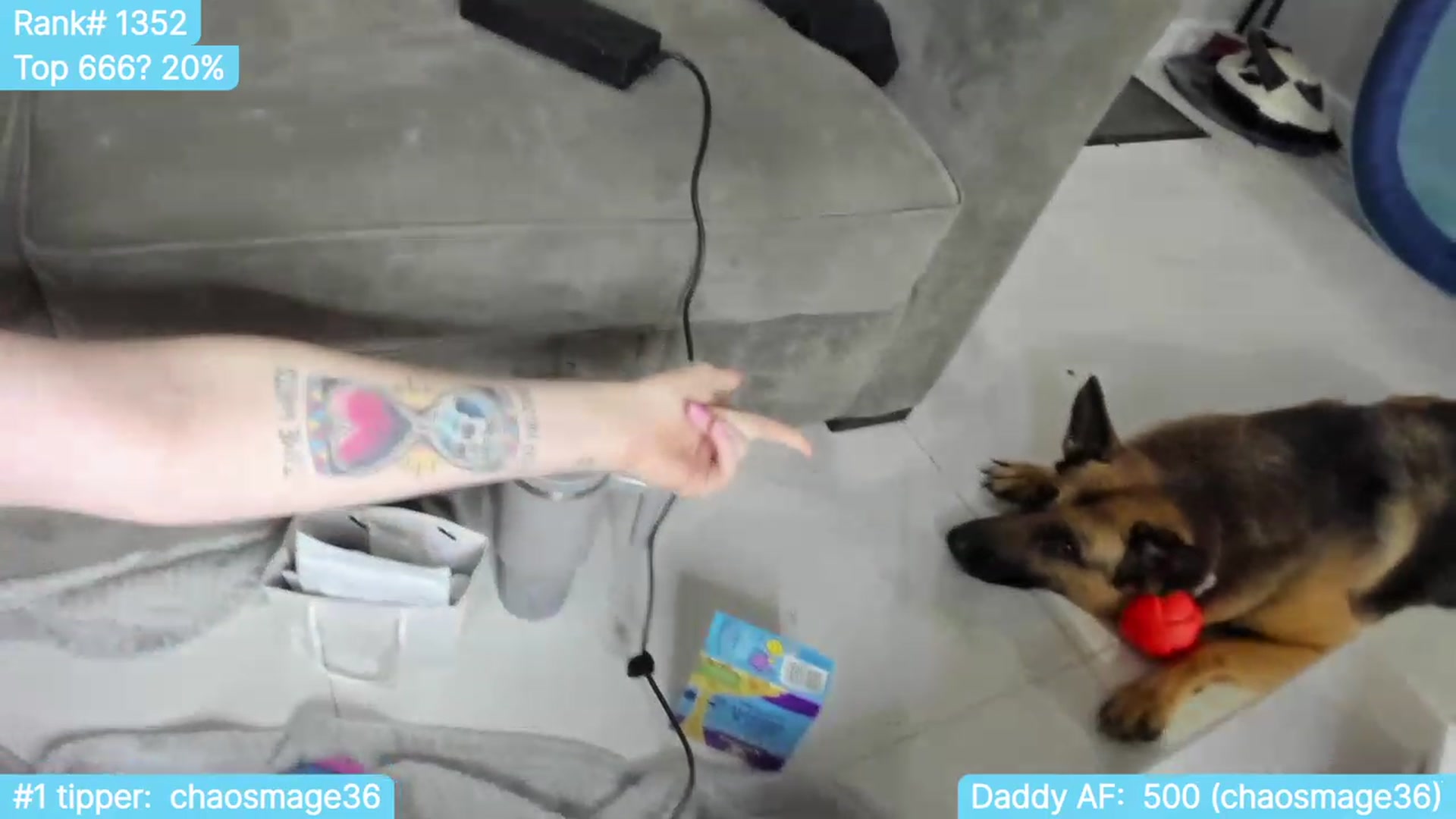 Gallery image thumbnail from TheSharkQueen's myfreecams stream on, 10/18/2023, 06:17 image 20 of 20