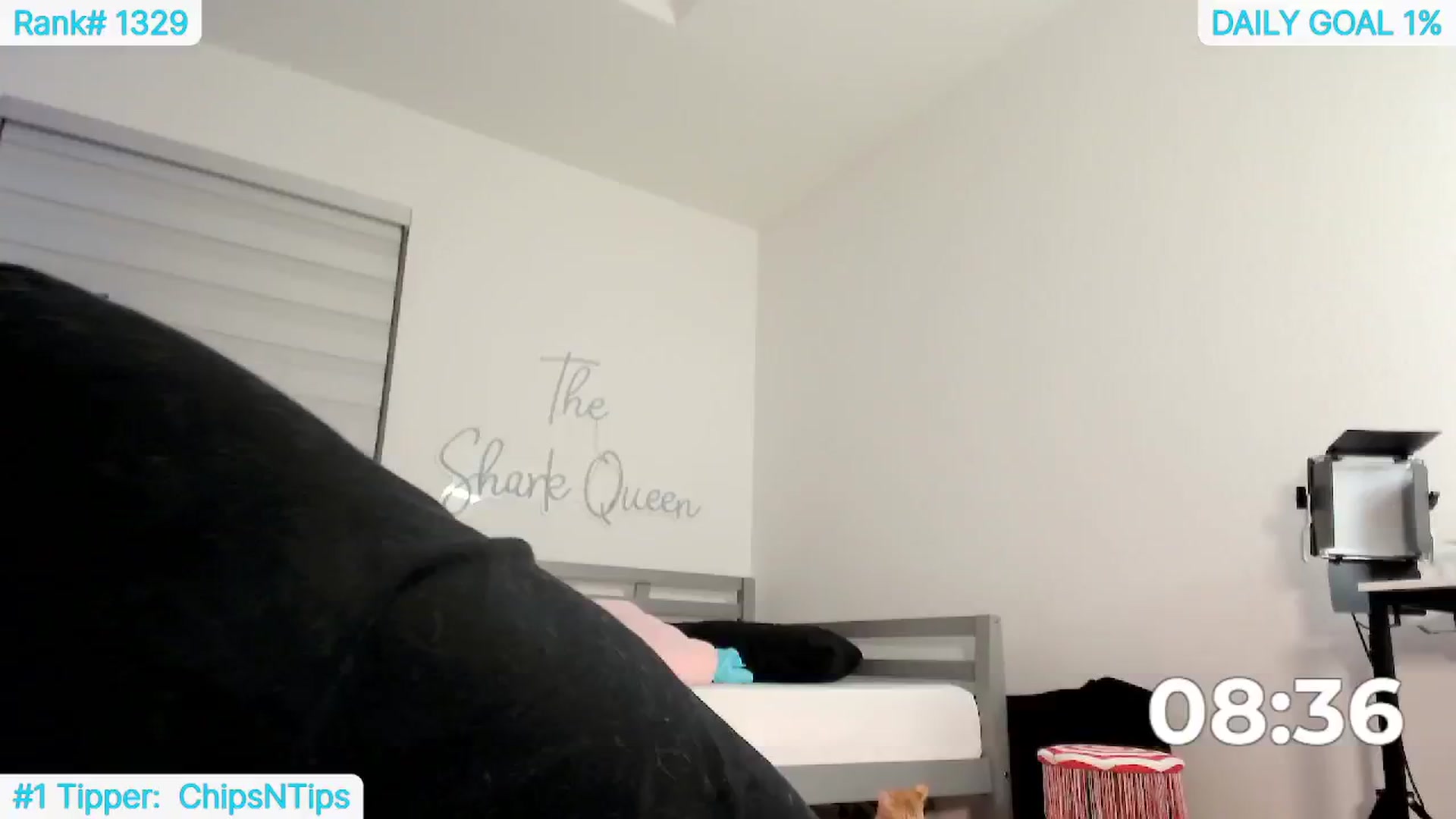 Gallery image thumbnail from TheSharkQueen's myfreecams stream on, 05/16/2024, 05:01 image 6 of 20