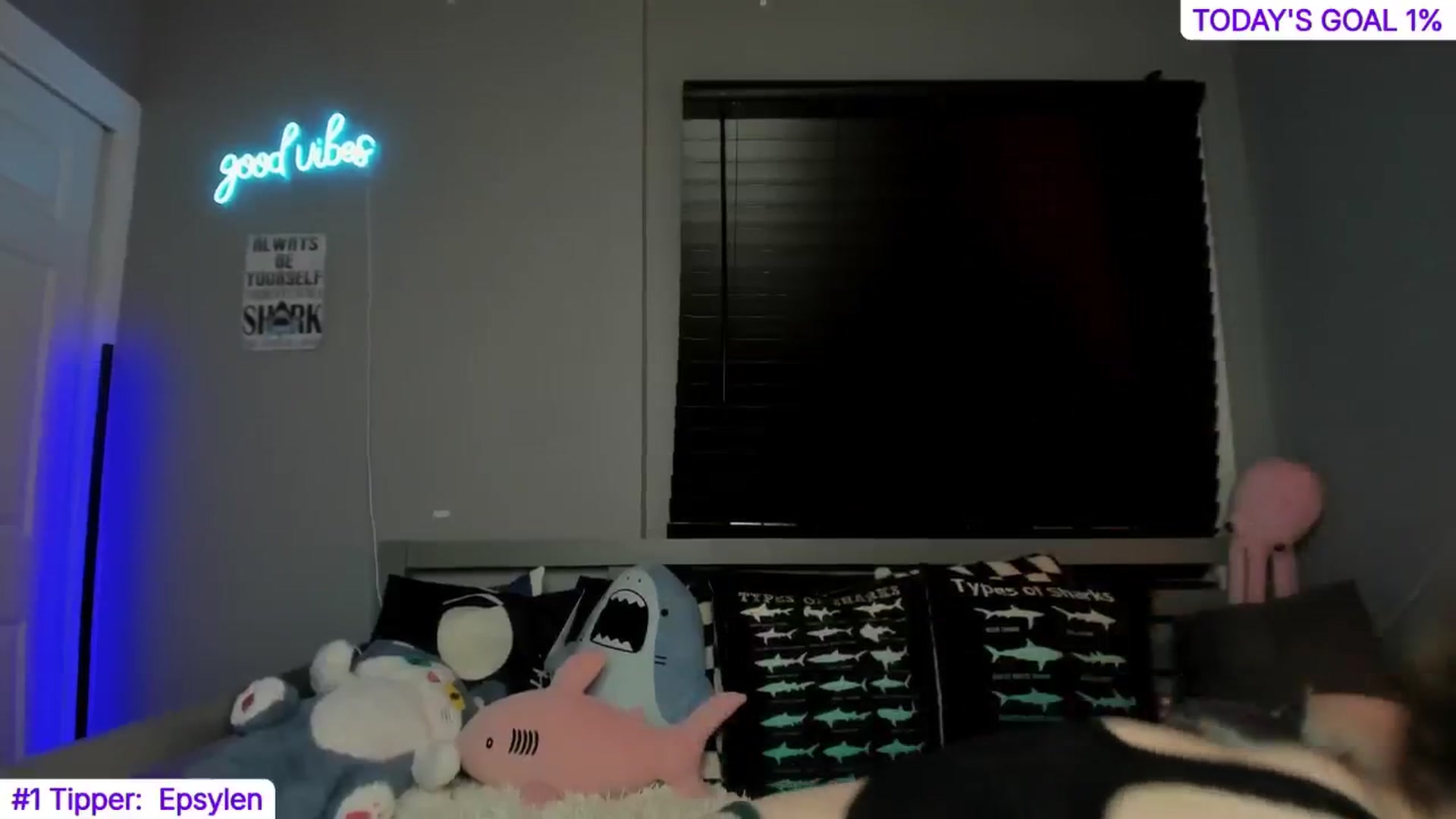 Gallery image thumbnail from TheSharkQueen's myfreecams stream on, 10/25/2024, 03:12 image 11 of 20