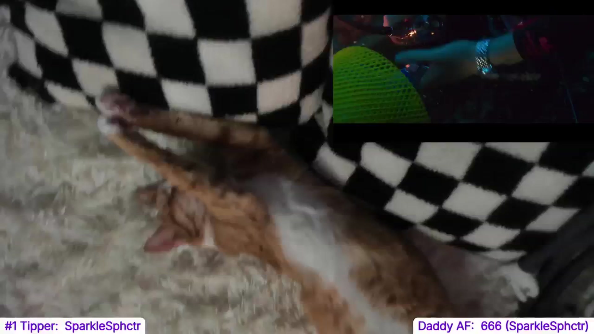 Gallery image thumbnail from TheSharkQueen's myfreecams stream on, 11/01/2024, 08:04 image 8 of 20