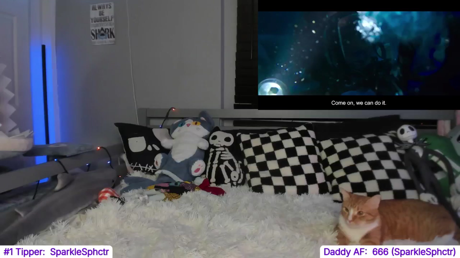 Gallery image thumbnail from TheSharkQueen's myfreecams stream on, 11/01/2024, 08:04 image 12 of 20