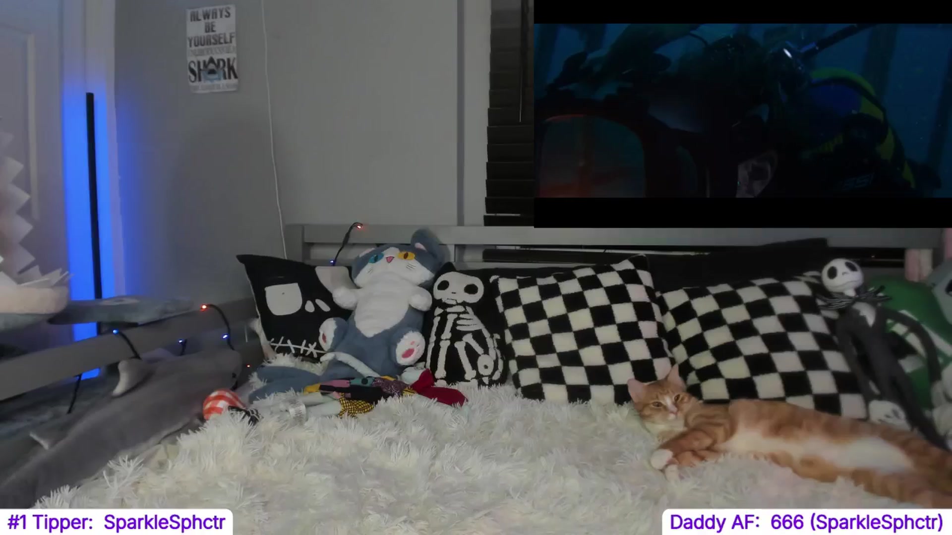 Gallery image thumbnail from TheSharkQueen's myfreecams stream on, 11/01/2024, 08:04 image 11 of 20