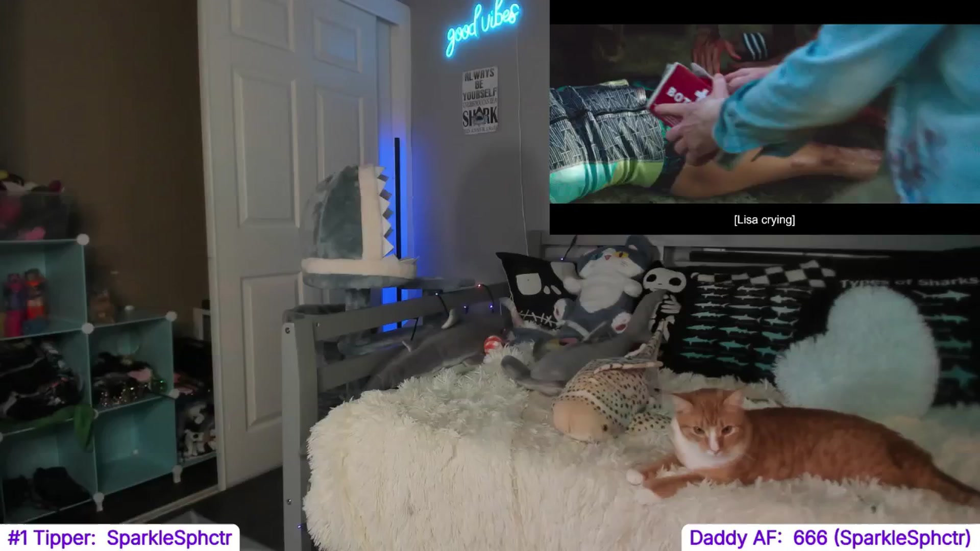 Gallery image thumbnail from TheSharkQueen's myfreecams stream on, 11/01/2024, 08:04 image 16 of 20