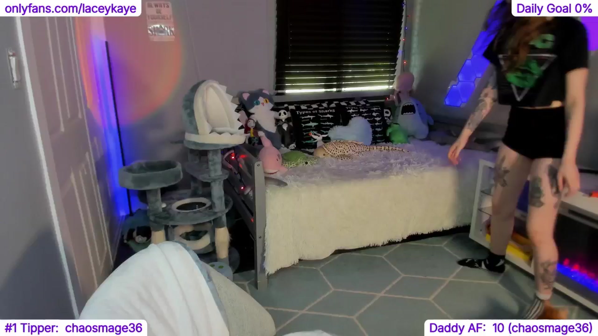 Gallery image thumbnail from TheSharkQueen's myfreecams stream on, 11/21/2024, 21:43 image 3 of 20