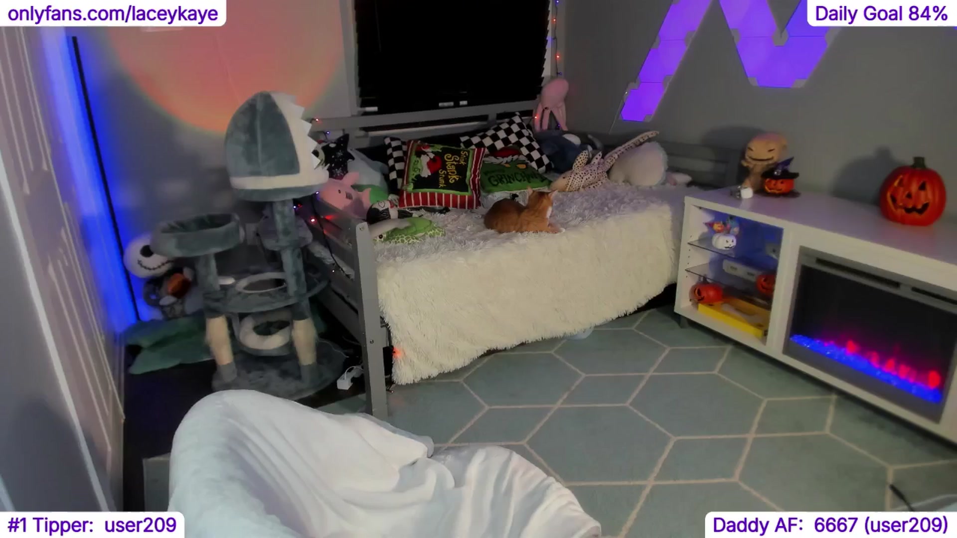 Gallery image thumbnail from TheSharkQueen's myfreecams stream on, 11/30/2024, 08:00 image 14 of 20