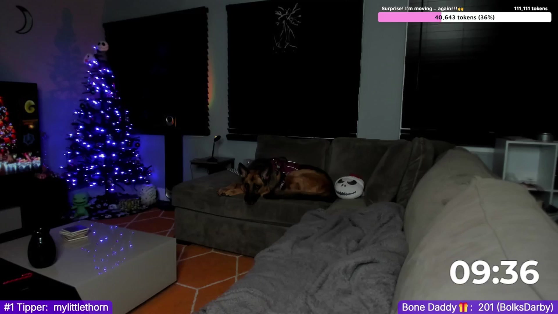 Gallery image thumbnail from TheSharkQueen's myfreecams stream on, 12/06/2024, 08:41 image 14 of 20