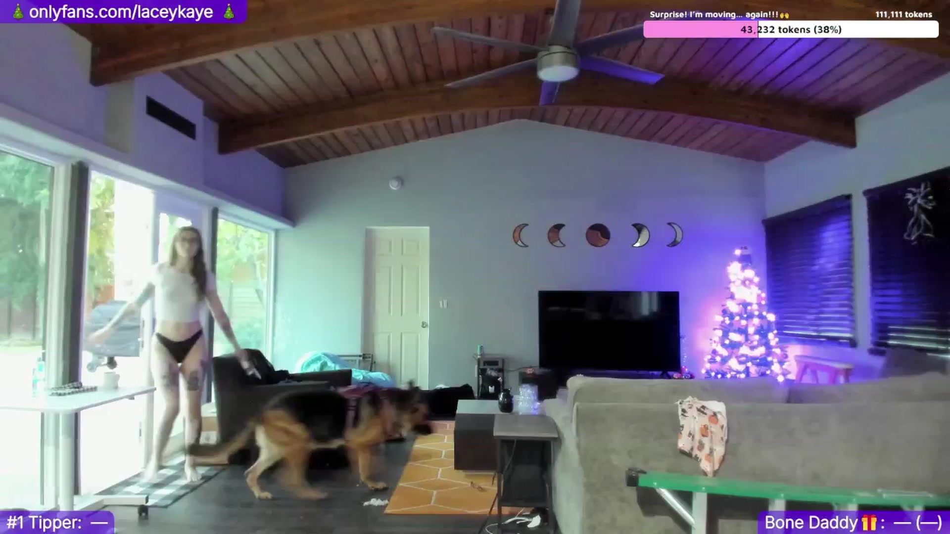 Gallery image thumbnail from TheSharkQueen's myfreecams stream on, 12/10/2024, 22:57 image 2 of 20