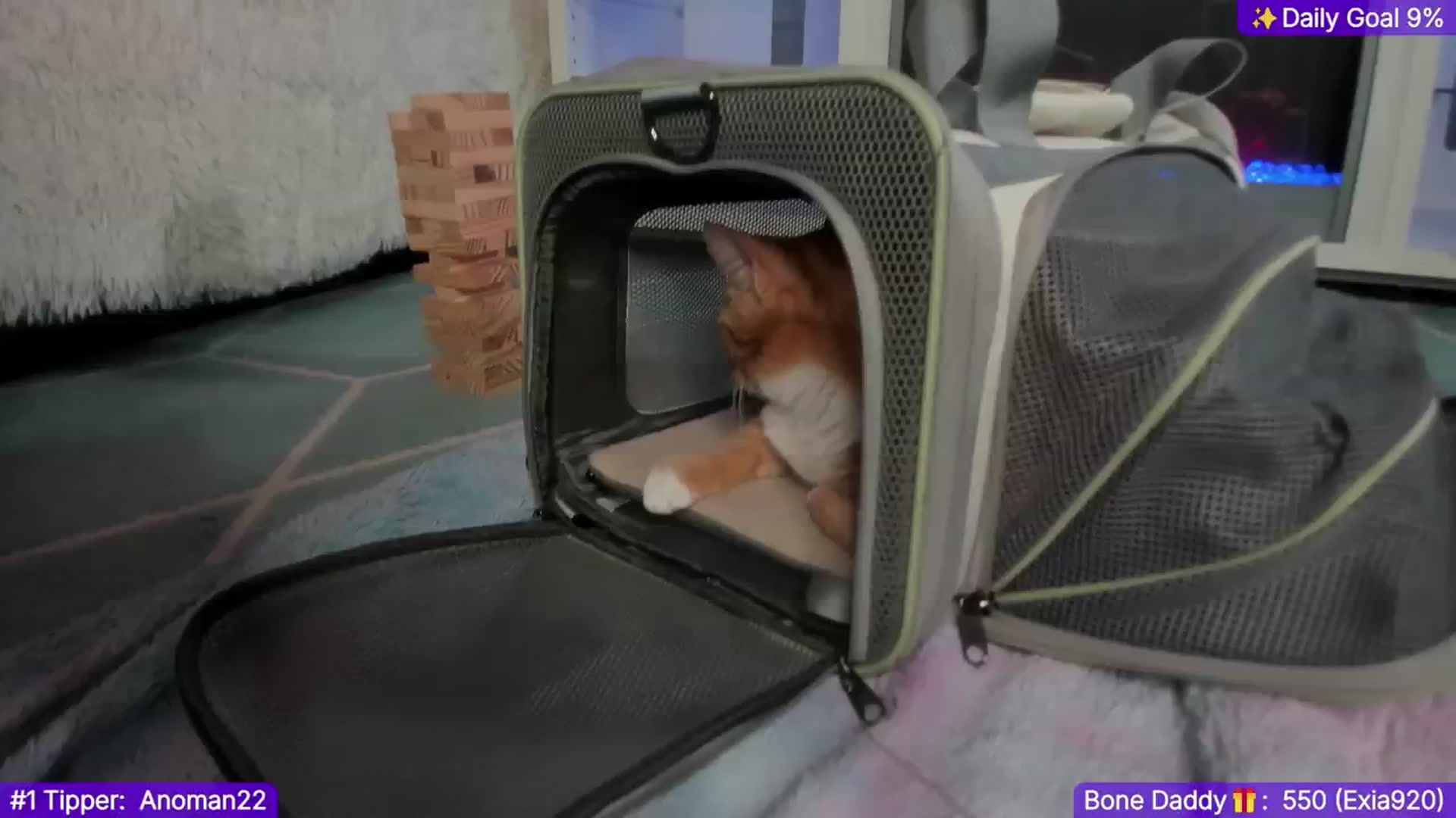 Gallery image thumbnail from TheSharkQueen's myfreecams stream on, 01/01/2025, 09:54 image 3 of 20
