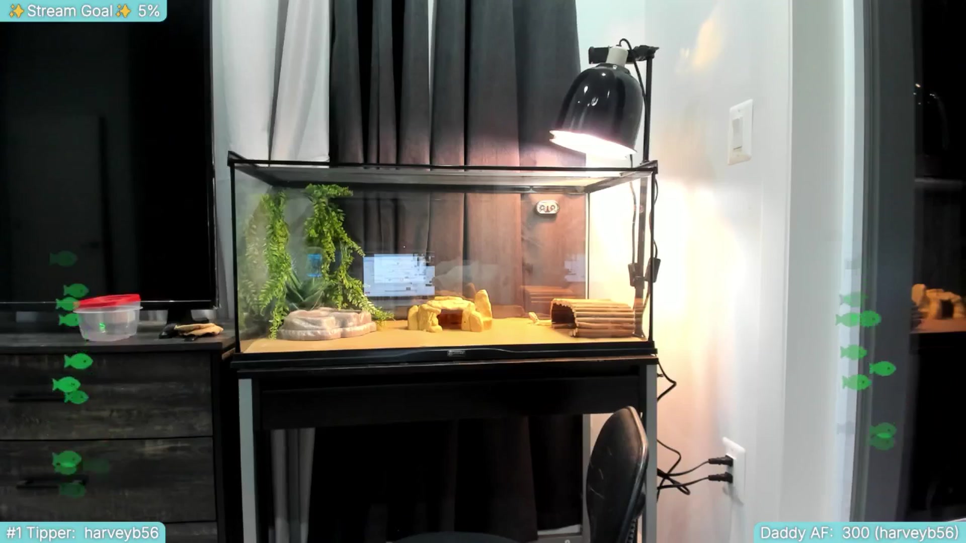 Gallery image thumbnail from TheSharkQueen's myfreecams stream on, 07/30/2025, 02:36 image 8 of 20