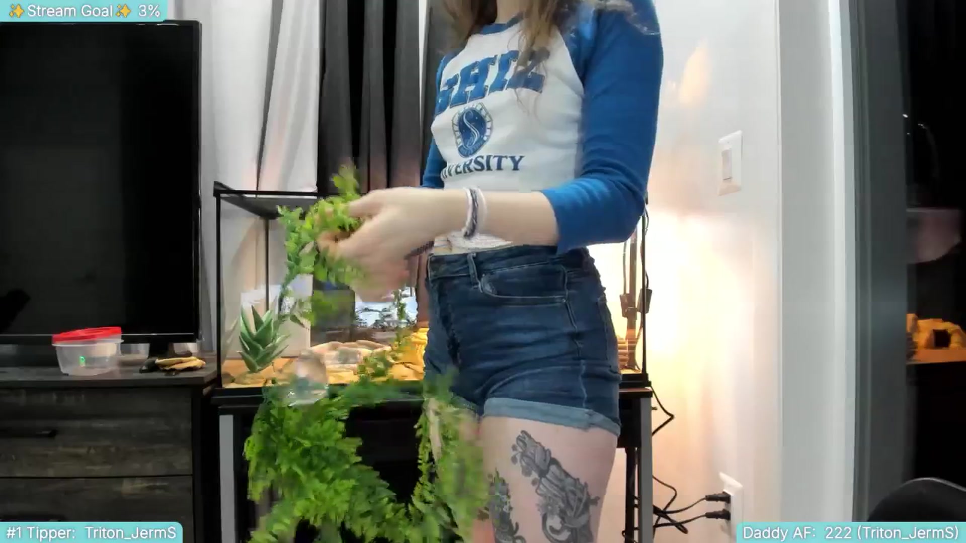 Gallery image thumbnail from TheSharkQueen's myfreecams stream on, 07/30/2025, 02:36 image 4 of 20