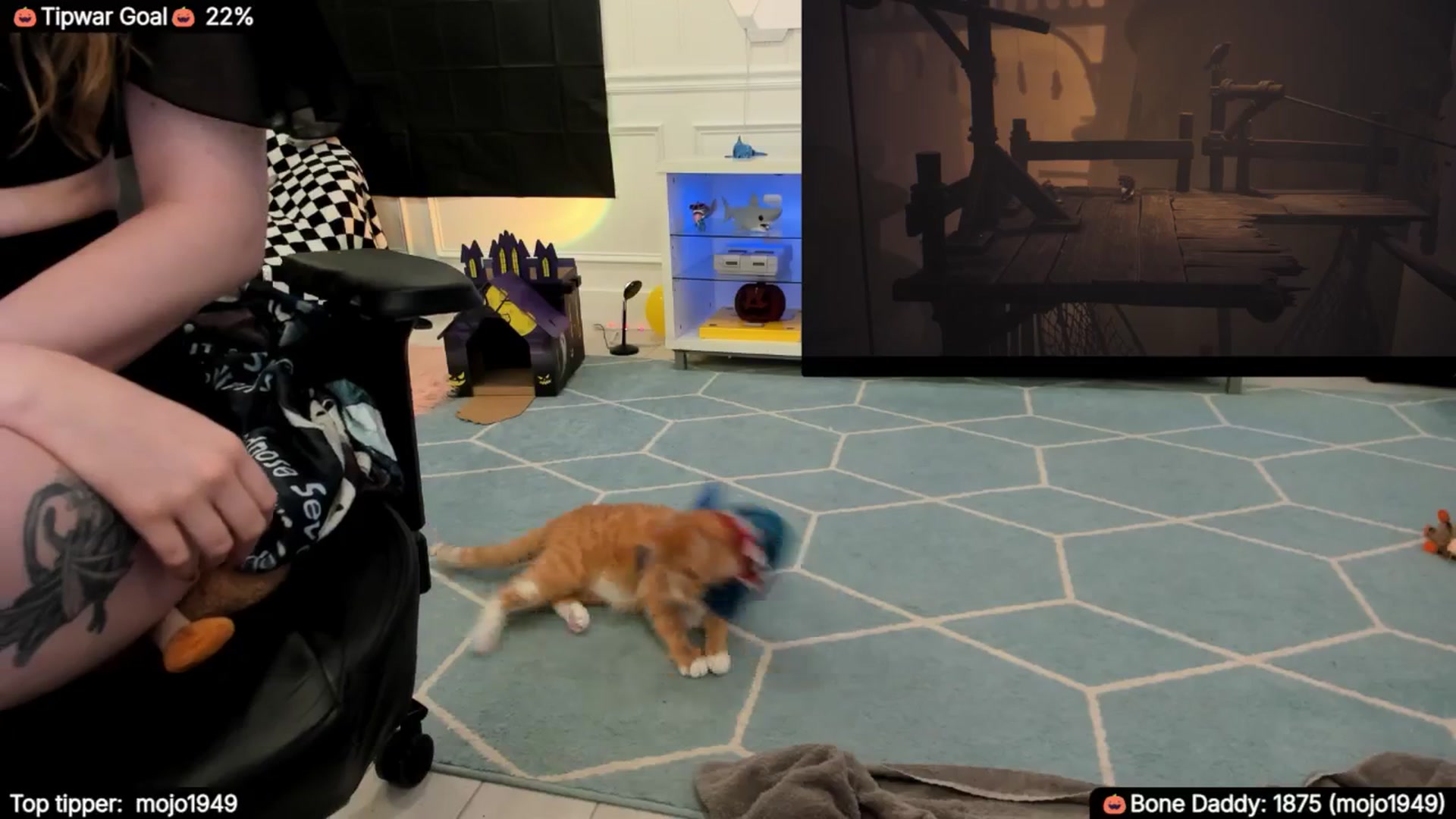 Gallery image thumbnail from TheSharkQueen's myfreecams stream on, 10/12/2025, 04:07 image 16 of 20
