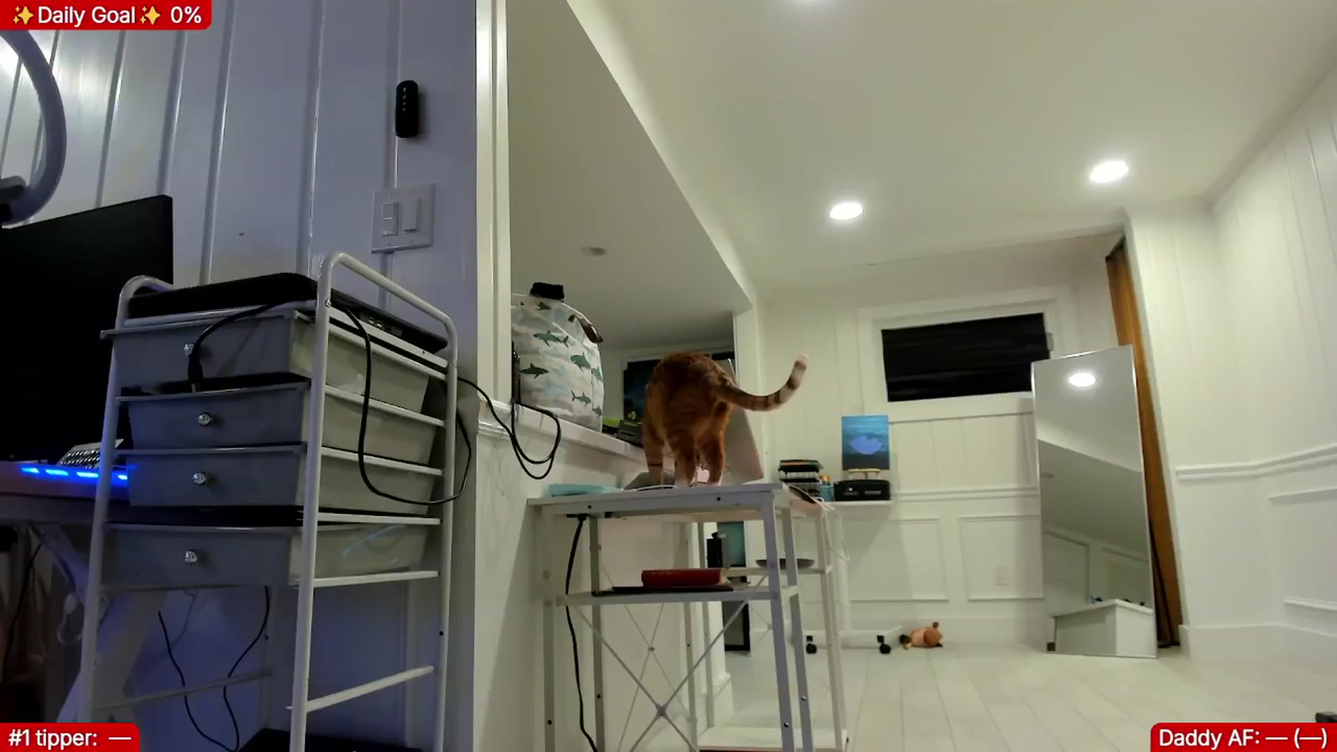Gallery image thumbnail from TheSharkQueen's myfreecams stream on, 02/19/2026, 03:05 image 16 of 20