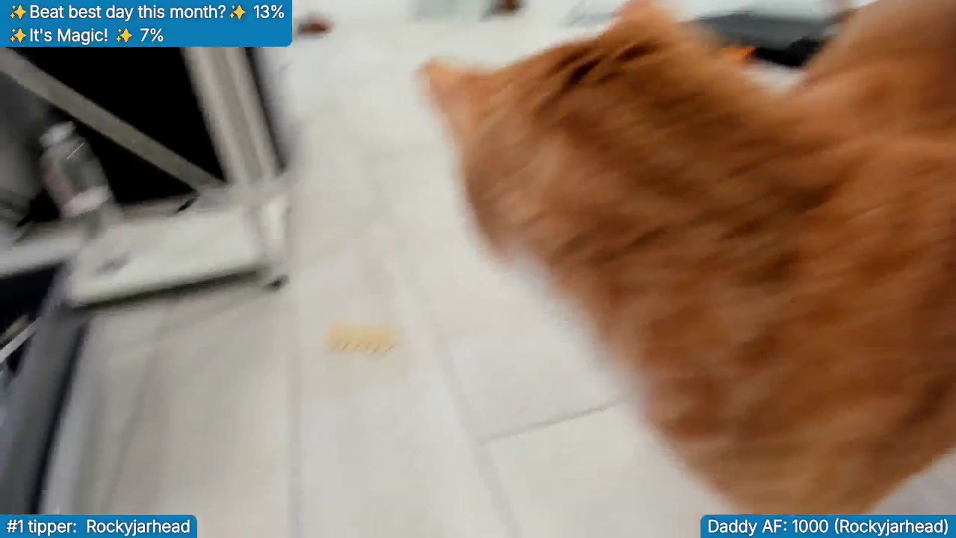 Gallery image thumbnail from TheSharkQueen's myfreecams stream on, 02/26/2026, 07:14 image 19 of 20