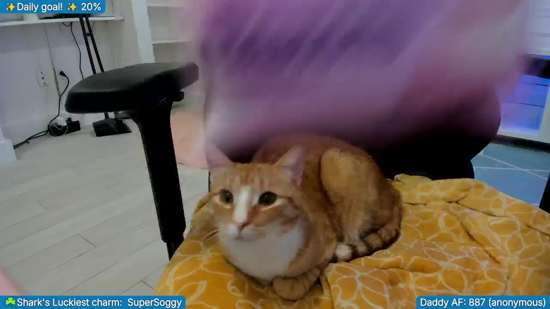 Gallery image thumbnail from TheSharkQueen's myfreecams stream on, 03/18/2026, 04:18 image 5 of 20