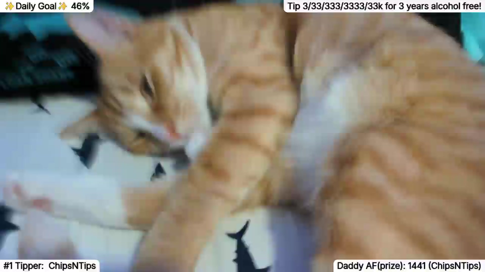 Gallery image thumbnail from TheSharkQueen's myfreecams stream on, 07/02/2026, 07:27 image 3 of 20