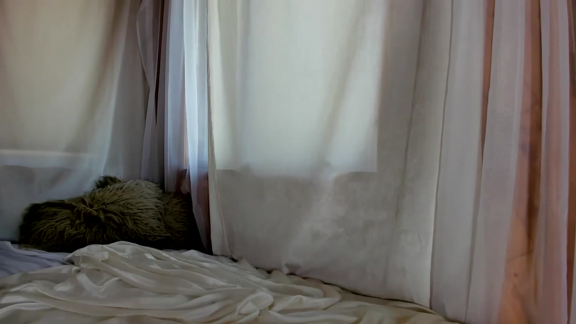 Gallery image thumbnail from The__GOAT's myfreecams stream on, 08/13/2024, 14:56 image 19 of 20