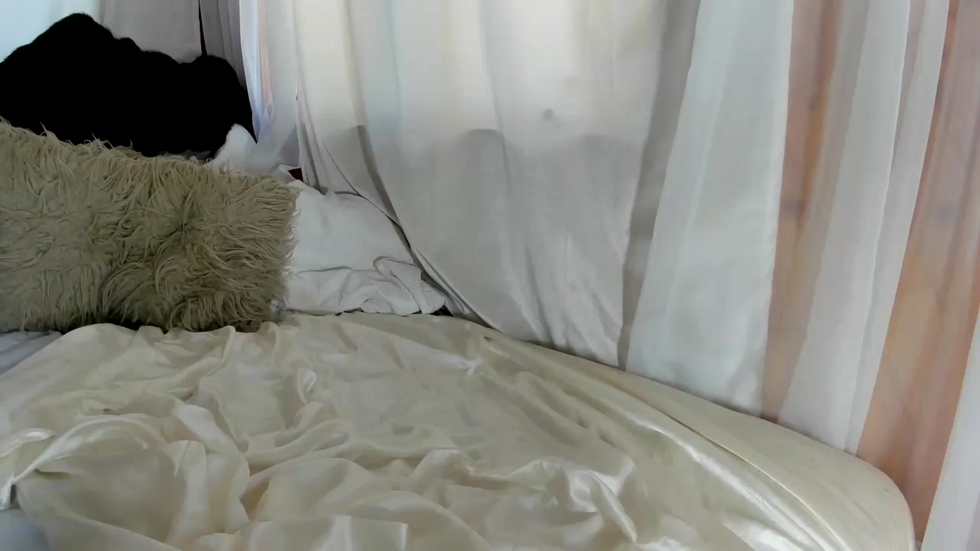 Gallery image thumbnail from The__GOAT's myfreecams stream on, 10/24/2024, 21:50 image 18 of 20