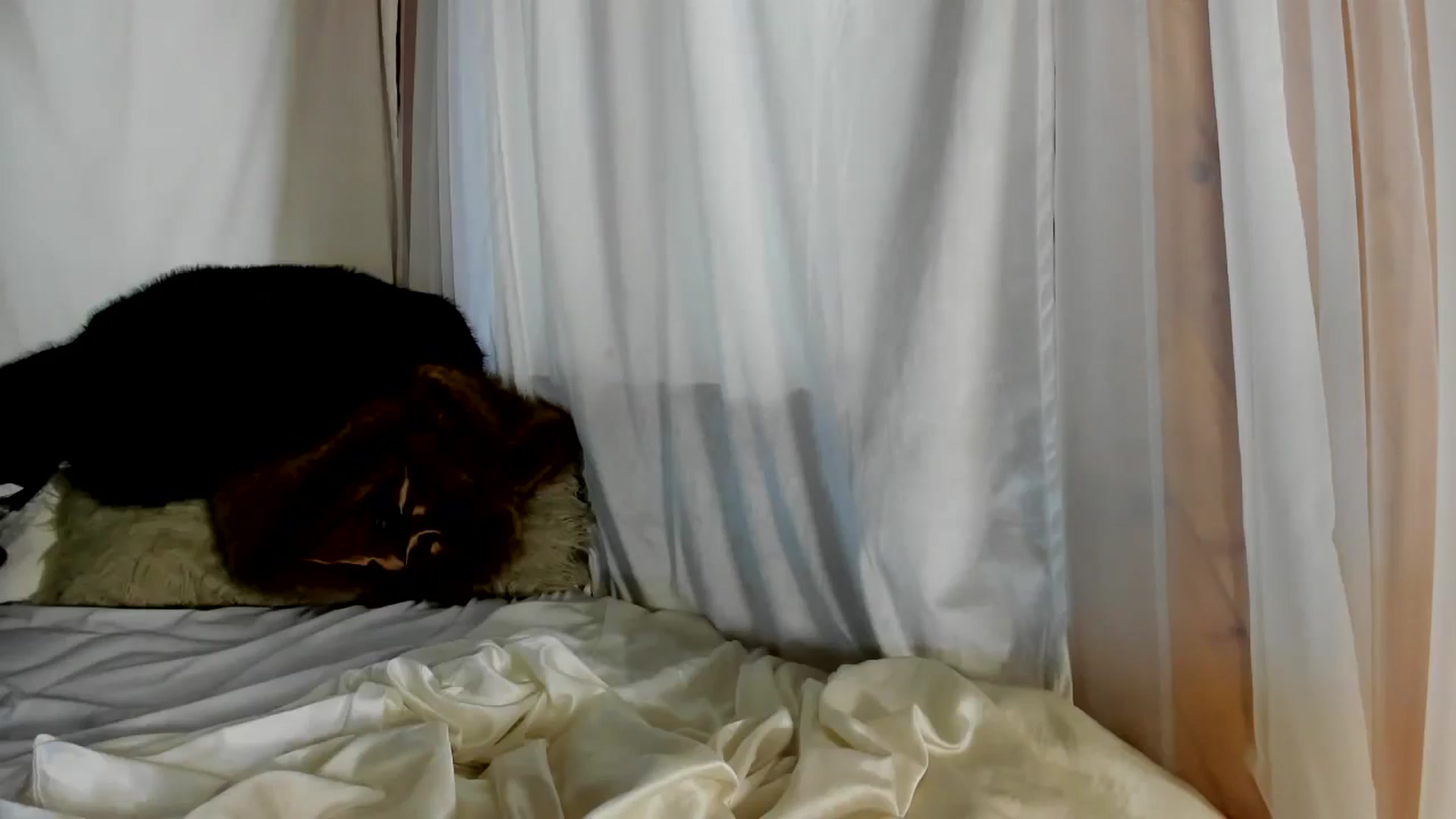 Gallery image thumbnail from The__GOAT's myfreecams stream on, 01/08/2025, 22:16 image 12 of 20