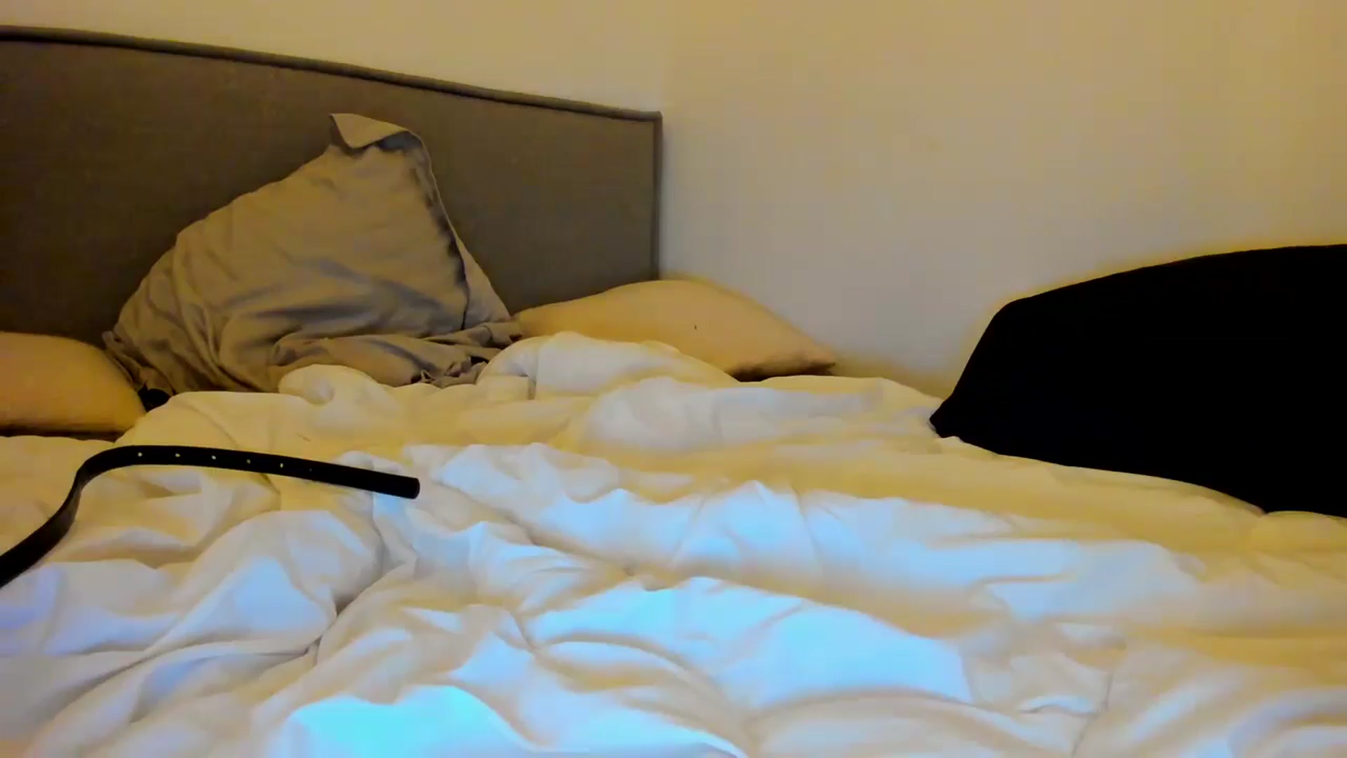 Gallery image thumbnail from The__GOAT's myfreecams stream on, 04/29/2025, 20:11 image 20 of 20