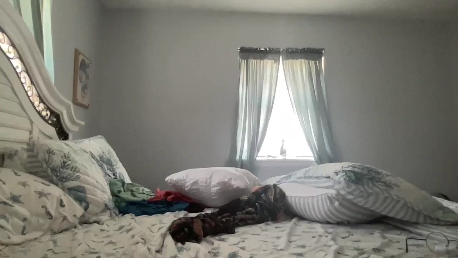 Gallery image thumbnail from Therapie's myfreecams stream on, 05/02/2025, 18:43 image 19 of 20
