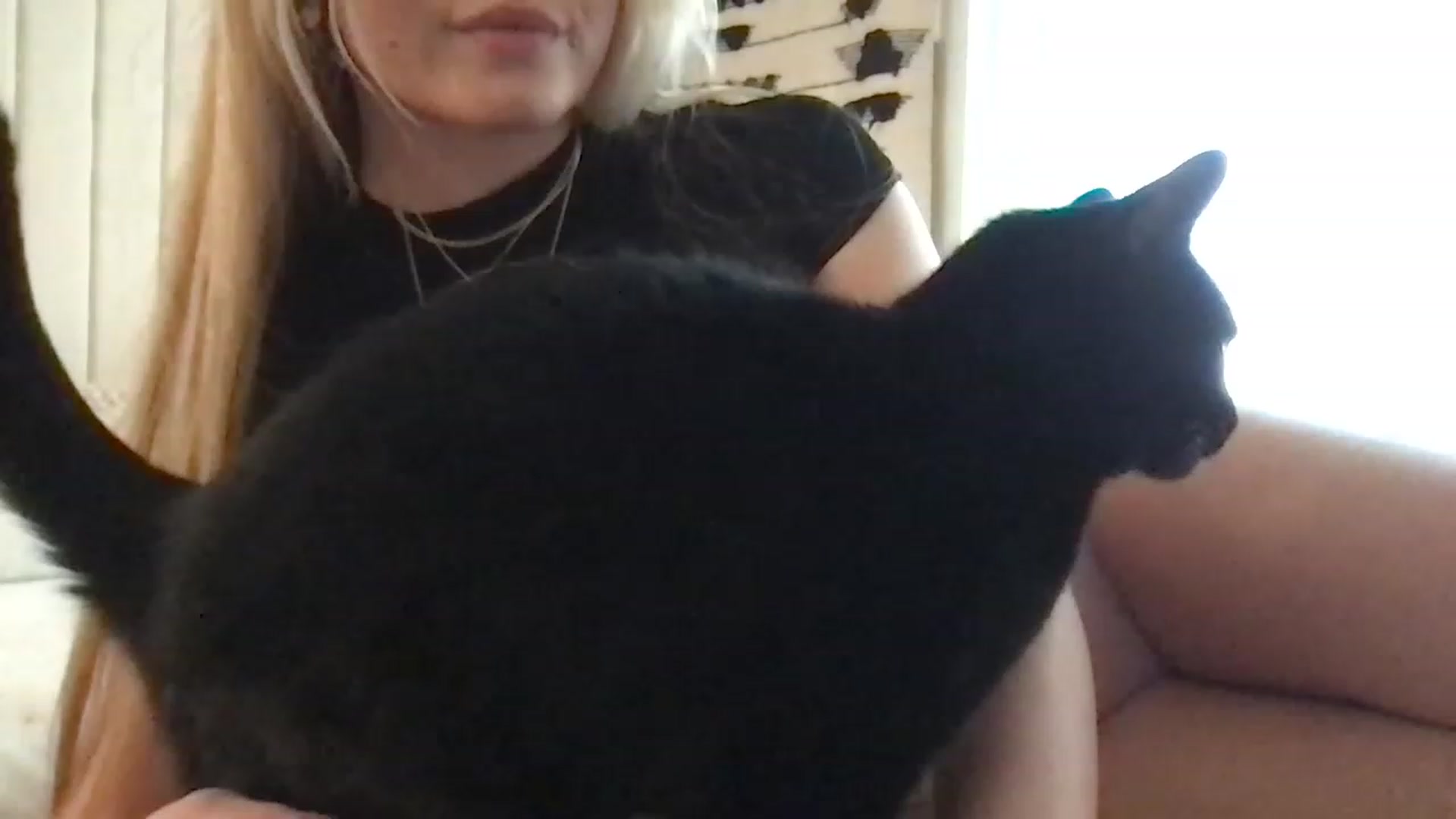 Gallery image thumbnail from Thezabrina's myfreecams stream on, 02/04/2023, 01:03 image 6 of 20