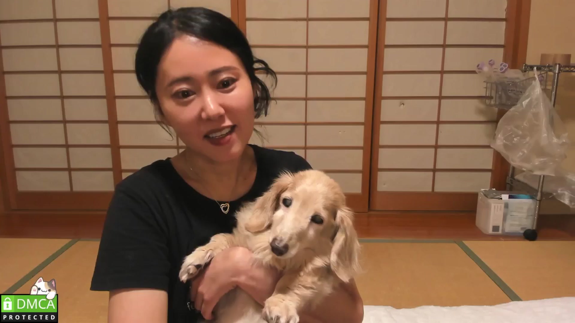 Gallery image thumbnail from ThisIsNanako's myfreecams stream on, 09/16/2024, 15:42 image 19 of 20